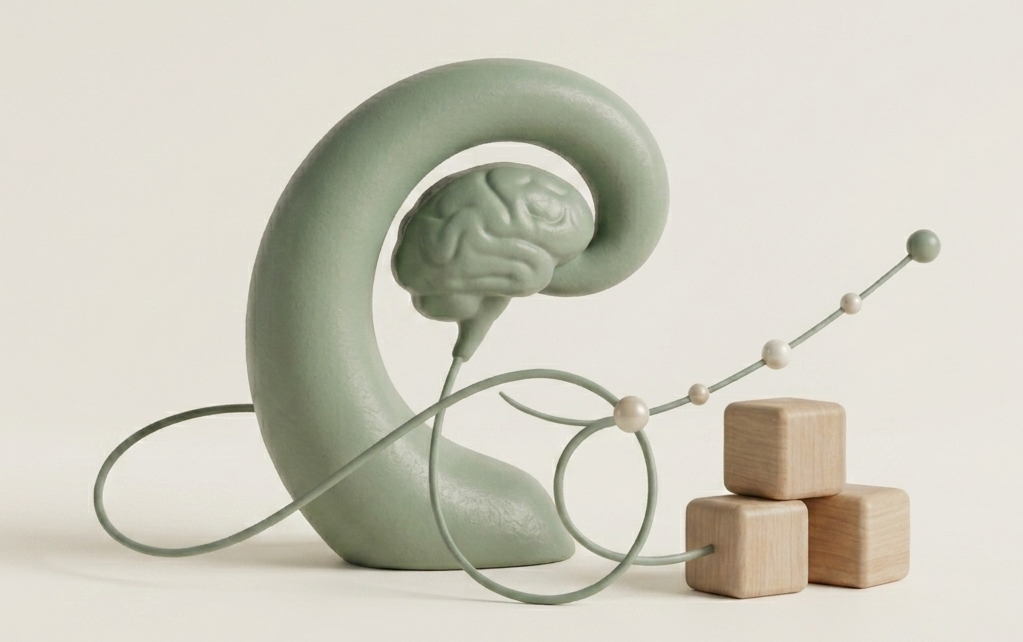 Zehnify Cognitive Behavioral Therapy and Developmental Resources